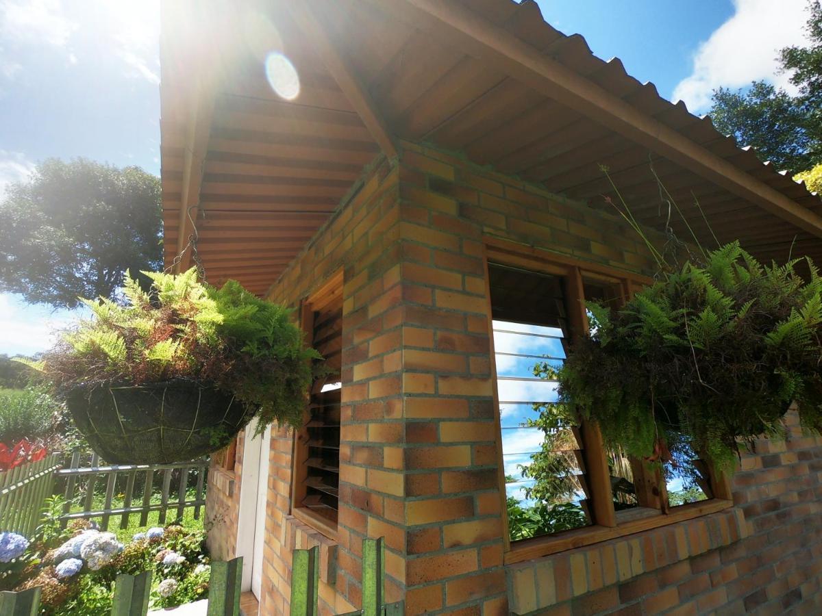 Tribu Ecohostal ロス・サントス エクステリア 写真