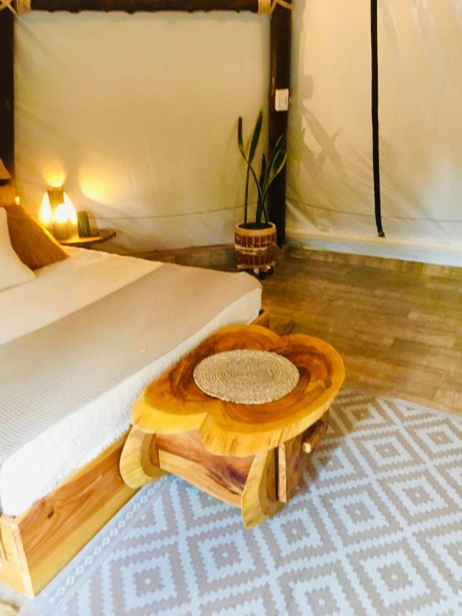 Tribu Ecohostal ロス・サントス エクステリア 写真