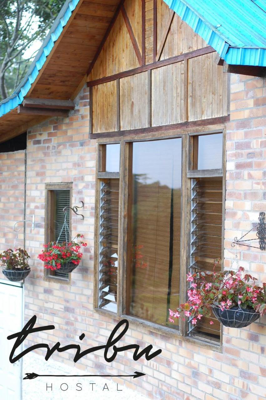 Tribu Ecohostal ロス・サントス エクステリア 写真