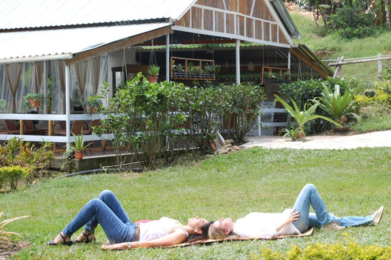 Tribu Ecohostal ロス・サントス エクステリア 写真