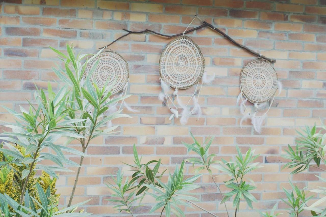 Tribu Ecohostal ロス・サントス エクステリア 写真