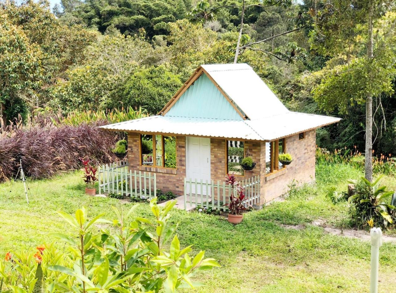 Tribu Ecohostal ロス・サントス エクステリア 写真