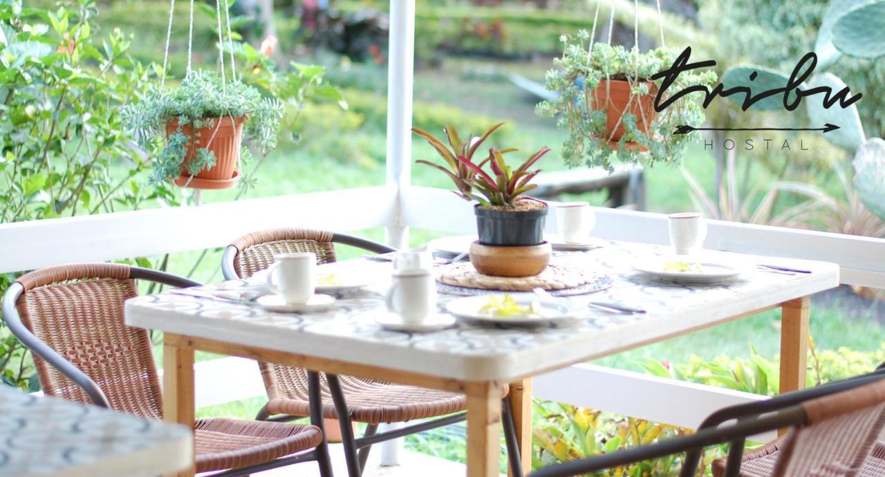 Tribu Ecohostal ロス・サントス エクステリア 写真