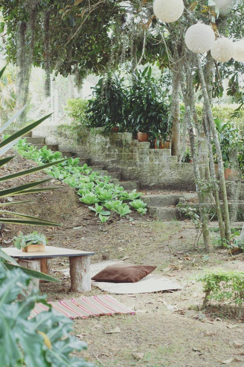 Tribu Ecohostal ロス・サントス エクステリア 写真